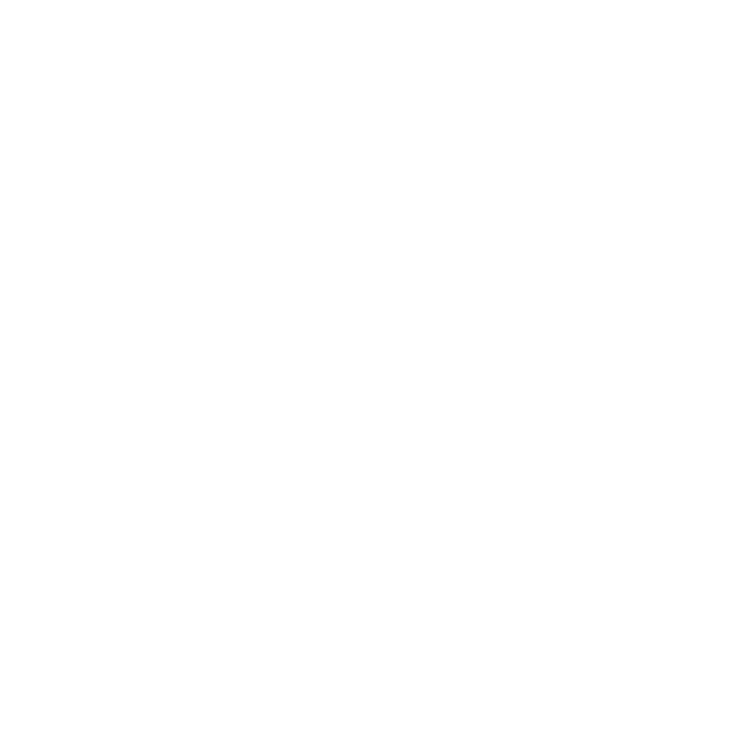 logo1
